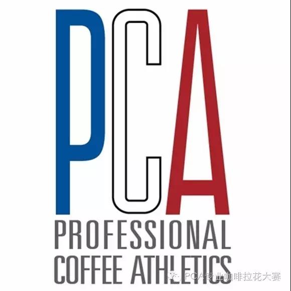 2016 PCA 上海赛区回顾